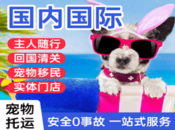 遥墙机场快运国际宠物托运 【国